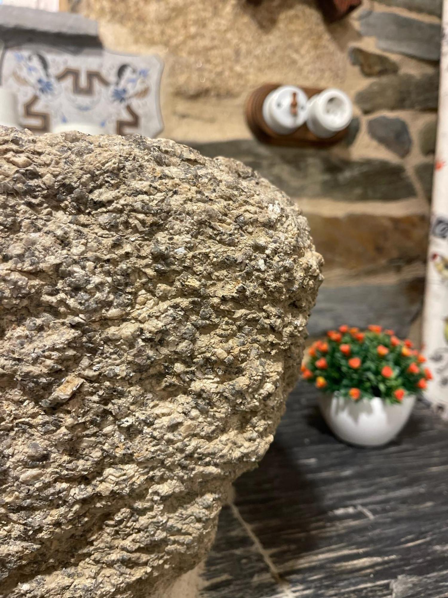 A Costa, Valle Del Mendo Oza de los Ríos المظهر الخارجي الصورة